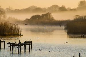 Titchfield Haven_20150407_39617 30x20