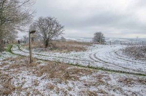 Solitude in grey: even in winter the hills and paths of the Meon retain a quiet, still beauty. South Downs Way, Beacon Hill near Warnford.