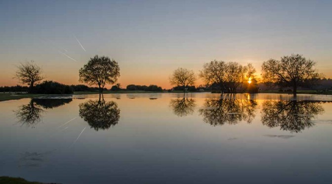 Sunset at Janesmoor pond in the New Forest National Park. A very chilly 2°C!. Posted on the BBC Weather Watchers page.