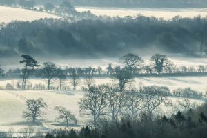 Sun rays breaking through the tress into a frosty Meon Valley. Featured as the January picture in the Meon Views calendar published by Studio 6, design and print, Wickham, Hampshire. All proceeds from the sale of this calendar go to Naomi House Childrens Hospice. If you are in (or passing) Wickham pop in and buy one or two!