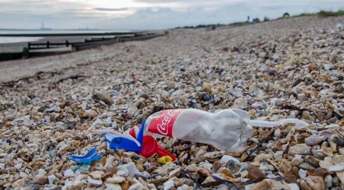 Plastic pollution found on a small stretch of beach at Hill Head