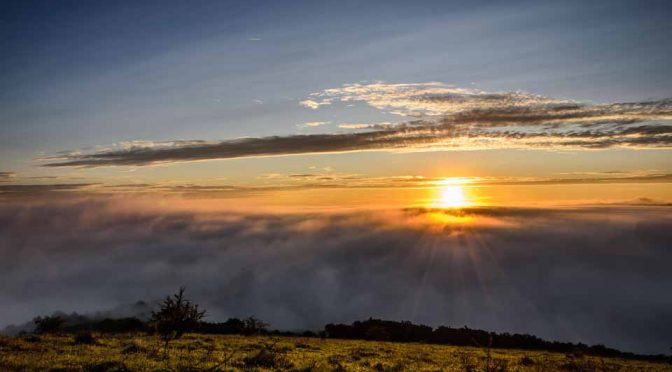 Meon Views. Another shot of the rising sun over a mist and fog shrouded Meon Valley from Beacon Hill Hampshire