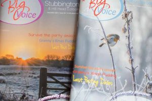 A couple of my photographs used on the cover of the Stubbington and Lee on the Solent editions of the Big Voice