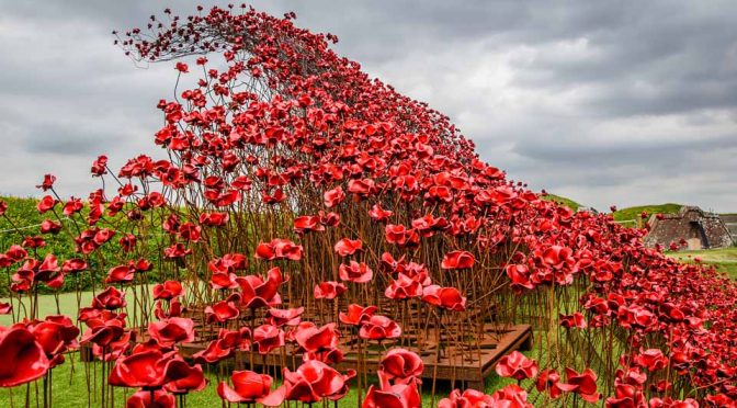 Poppies Wave Fort Nelson