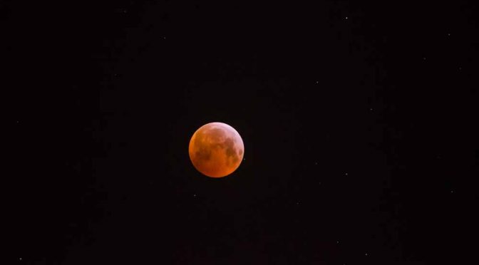Photograph of the super wolf blood moon taken at 05:10, clear sky and just about at total eclipse