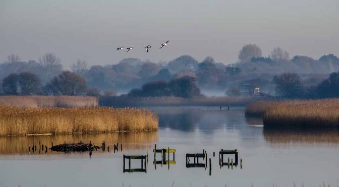 Meon Shore at Titchfield Haven