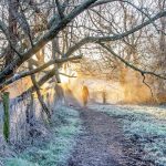 Meon Valley Hampshire Out of the mist